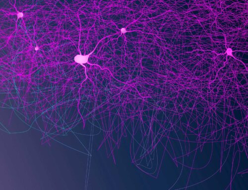 Neurociencia: el elemento esencial en el aprendizaje es la emoción