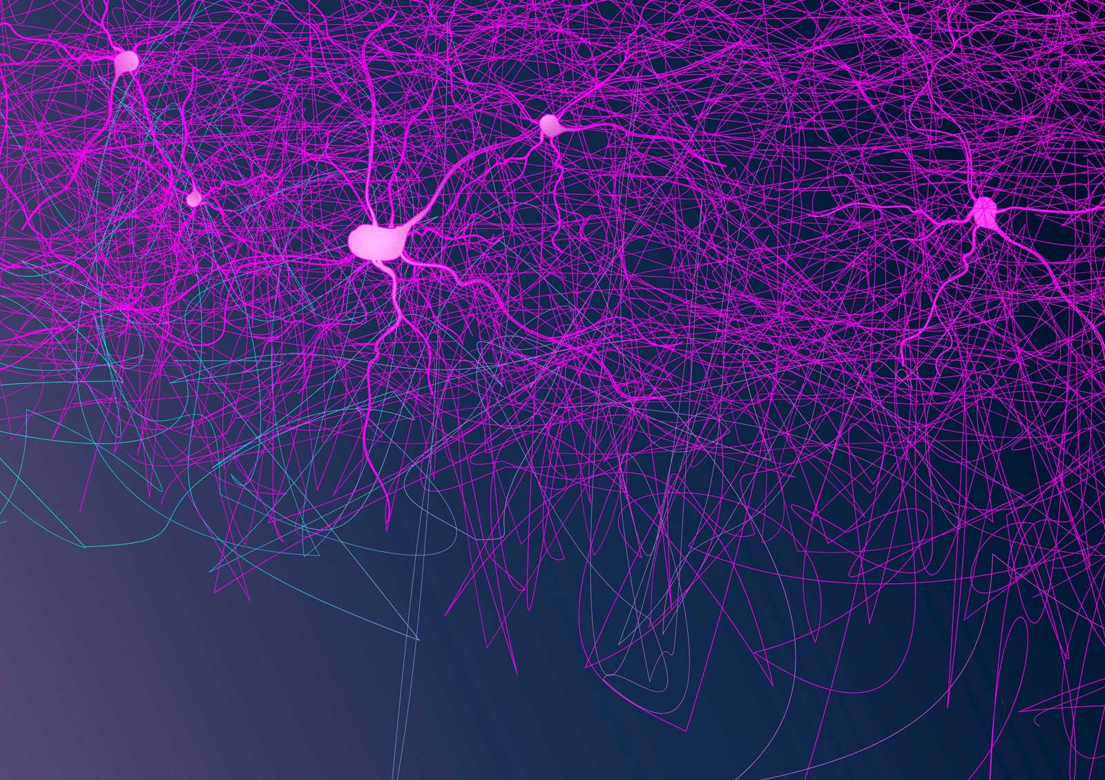 Neurociencia: el elemento esencial en el aprendizaje es la emoción